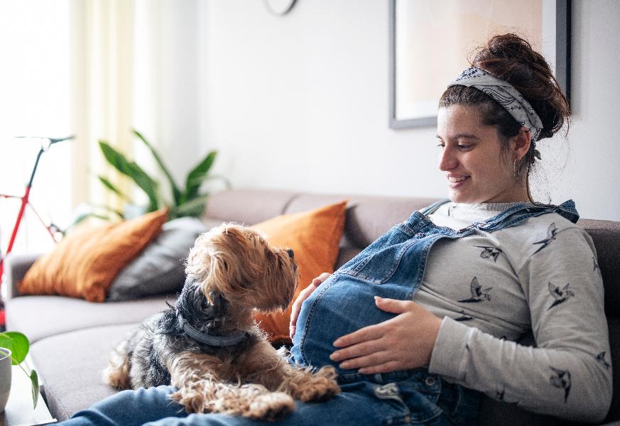 Pregnant woman sitting on a sofa next to a dog