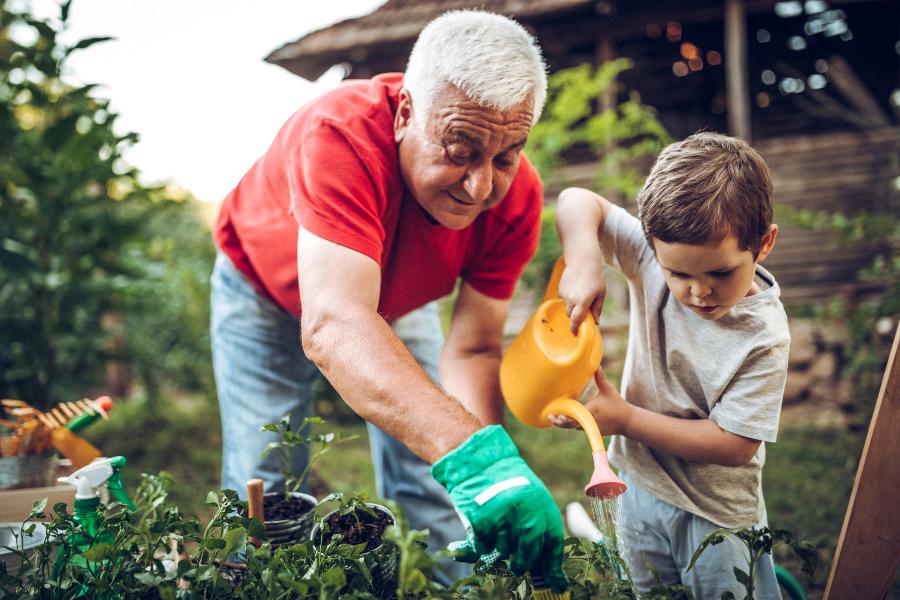 Granddad gardening with grandson