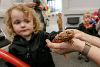 Little boy stroking a lizard